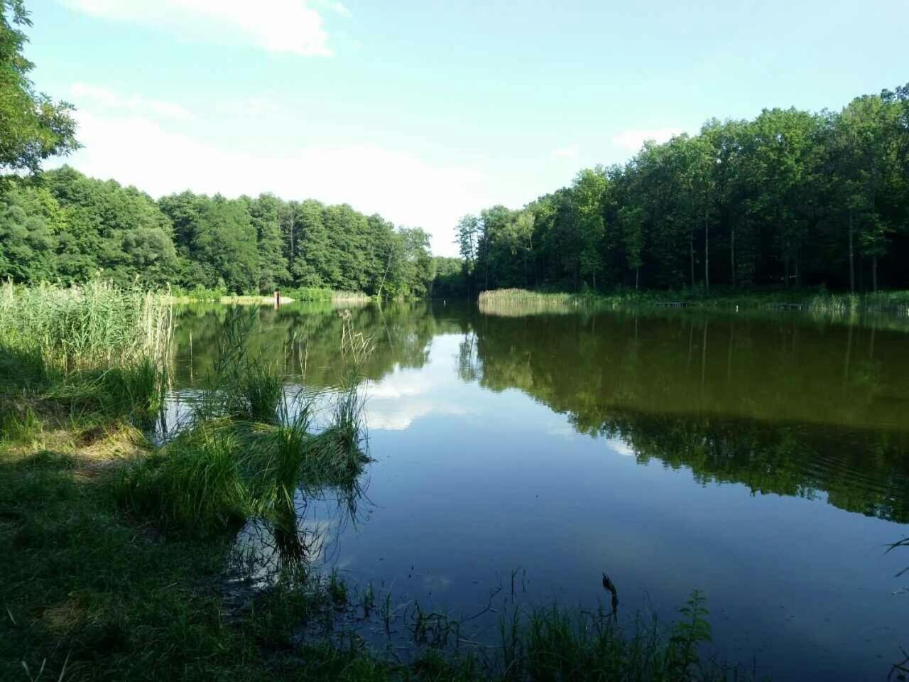 Holiday Home Rayskiy Ugolochek Kvitki Экстерьер фото